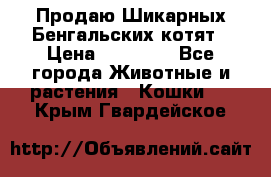 Продаю Шикарных Бенгальских котят › Цена ­ 17 000 - Все города Животные и растения » Кошки   . Крым,Гвардейское